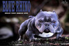 Blue Rhino